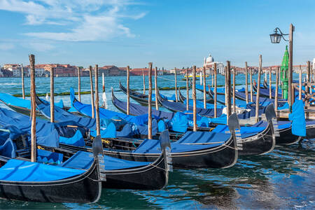 Gondolas in Venice