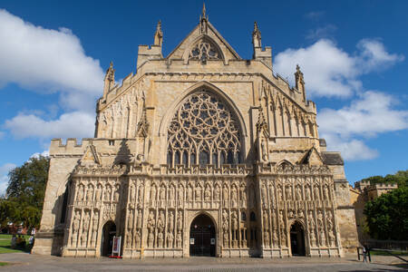 Katedra w Exeter
