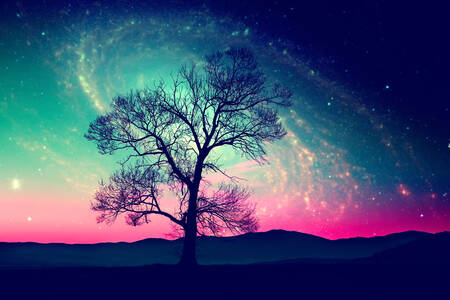 A tree on a background of stars