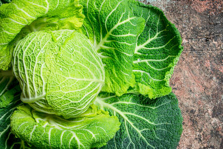 Ζουμερό πράσινο λάχανο