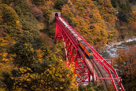 Railway bridge in Kurobe Gorge