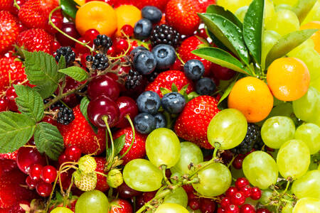 Ripe fruits and berries