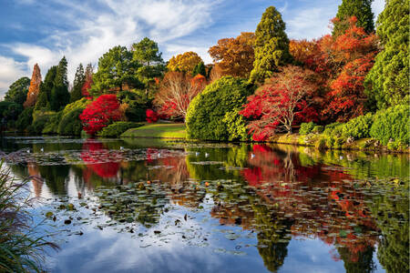 Autumn forest along the river
