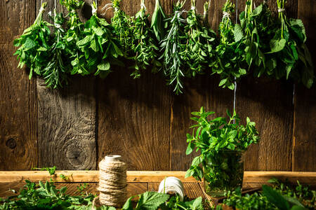 Ervas frescas e picantes