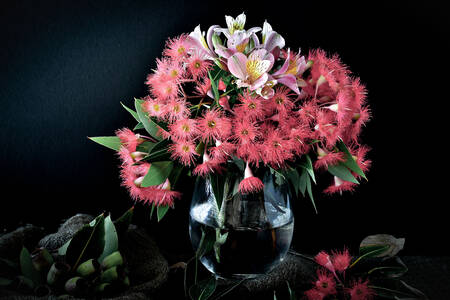 Een boeket corymbia-bloemen