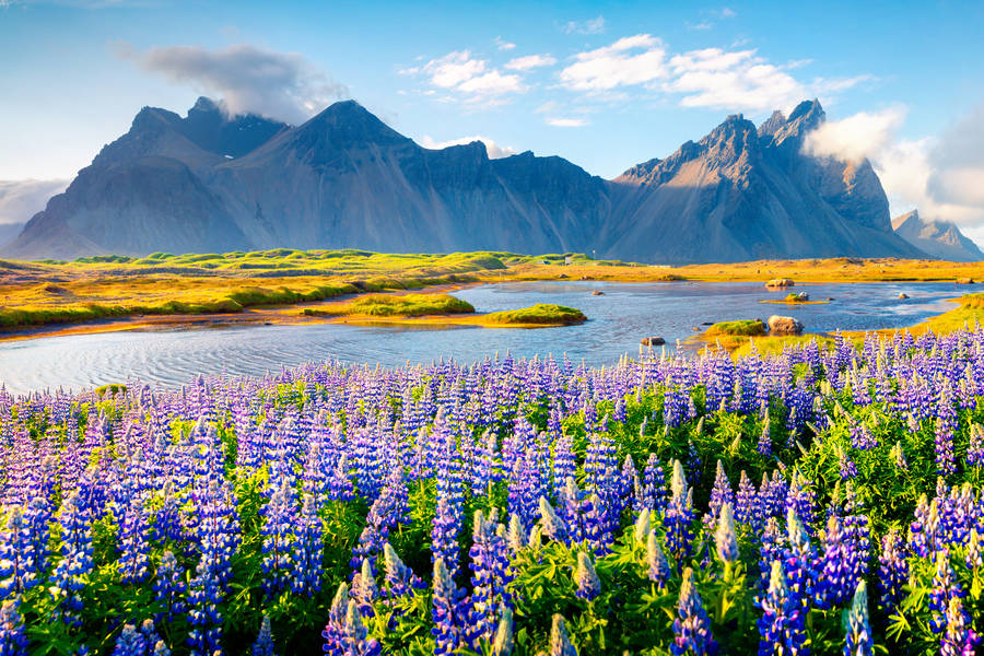 Current time in Iceland, Local Time Zone, DST information | Dayspedia