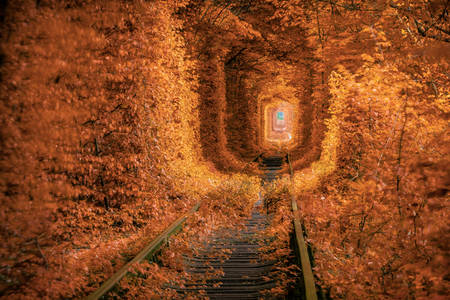 Tunnel dell'amore
