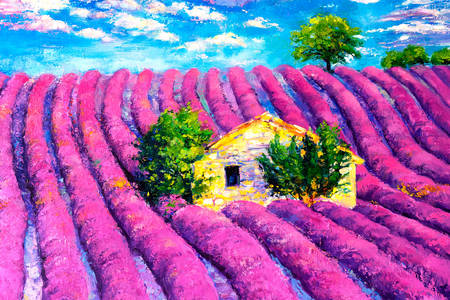 Haus auf einem Lavendelfeld