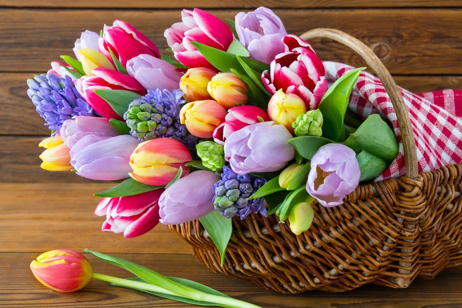 Tulipaner i en kurv