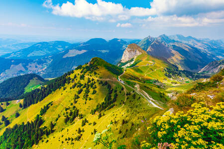 Mountain Rochers de Naye
