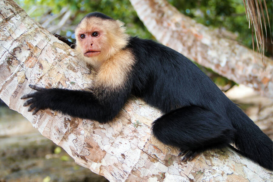 Radios de Sonora, México — Emisoras en Vivo Online Radio Box