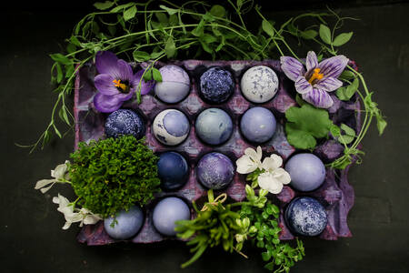 Oeufs de Pâques violets