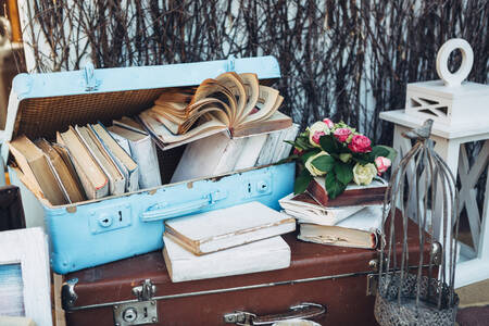 Koffer en boeken