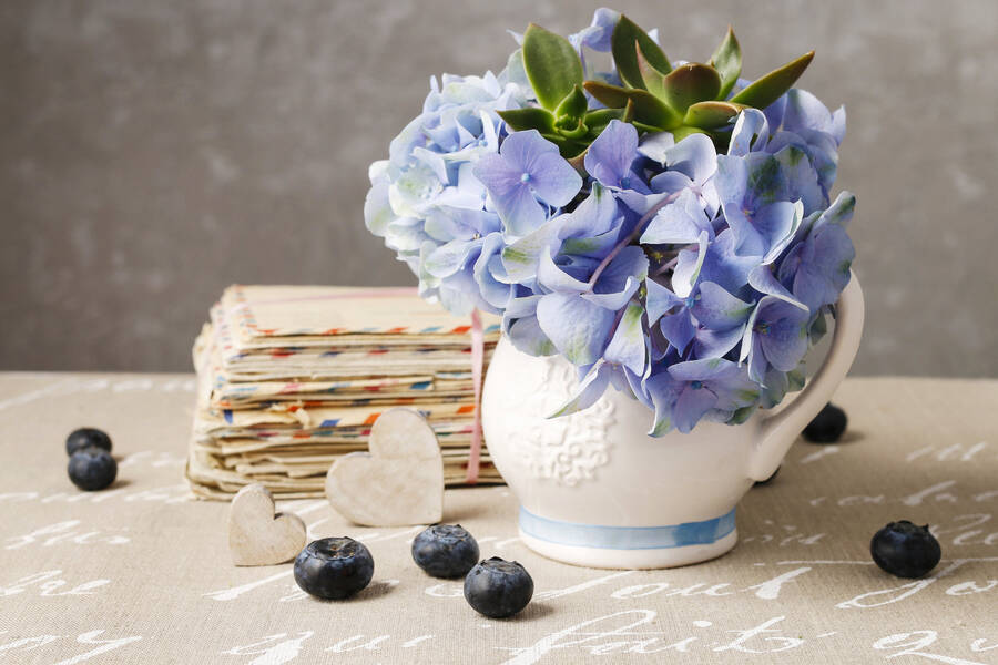 Radios de Quito, Ecuador — Emisoras en Vivo Online Radio Box