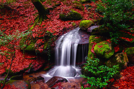 Водопад в Национальном парке Улудаг