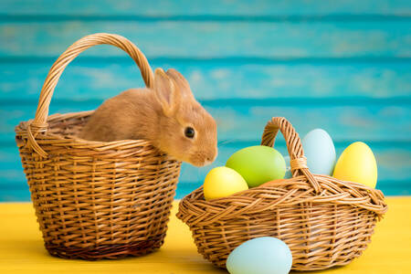 Kaninchen und Korb voller Eier