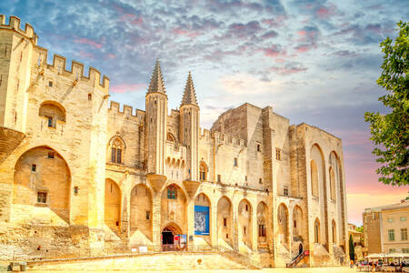 Palatul Papilor, Avignon