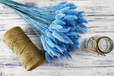 Blue lagurus on wooden background