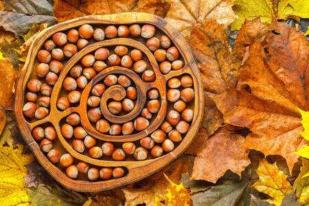 Alune de pădure pe frunze de toamnă