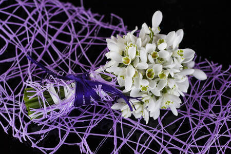 Koyu bir arka planda kardelen buketi