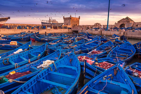 Puerto en Essaouira