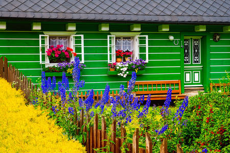 Зелений сільський будинок