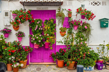 Яркий дом с цветами