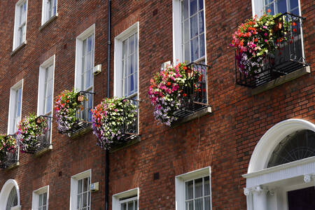 Façade de bar au centre-ville de Dublin