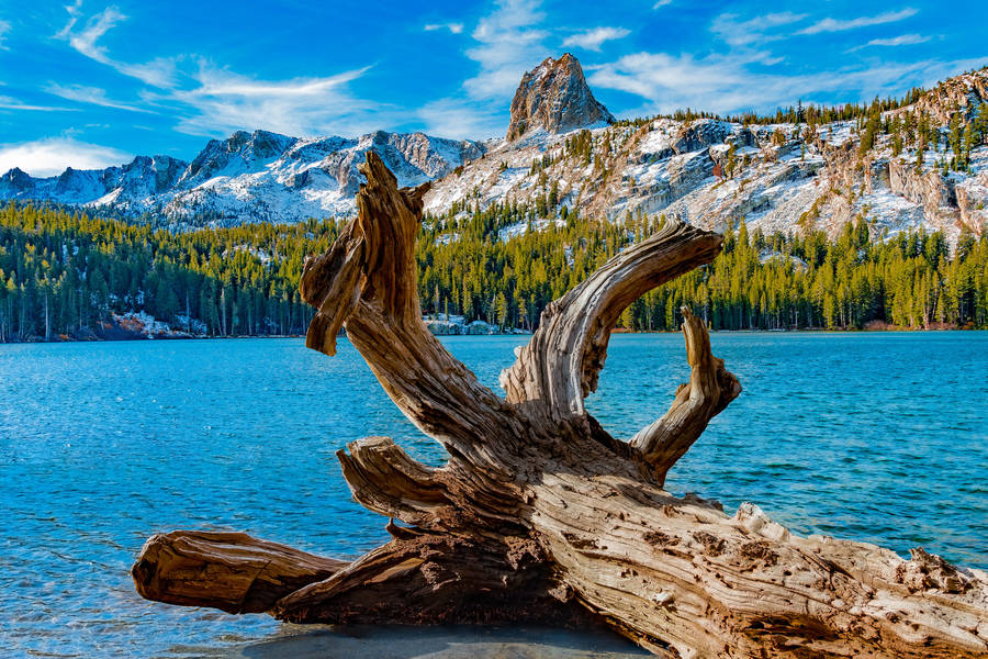 Radiomar en Vivo 106.3 MHz FM, Lima, Perú Online Radio Box