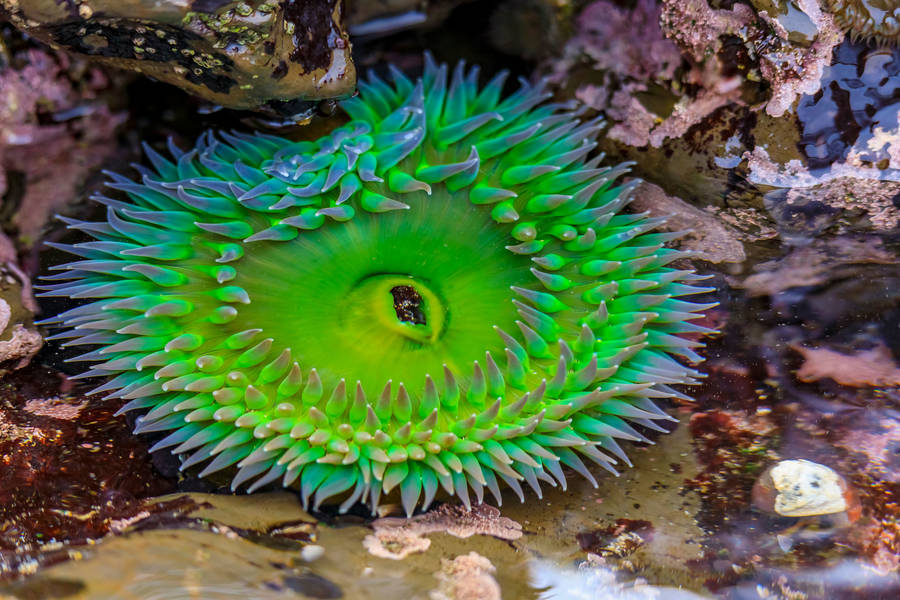 Radio Galaxia online Señal en vivo 88.5 MHz FM, Guayaquil, Ecuador