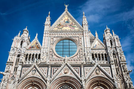 Fasada katedry w Sienie