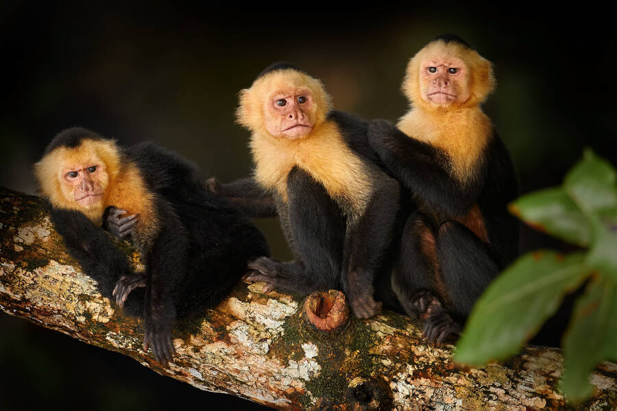 Radios de Sucre, Bolivia — Emisoras en Vivo Online Radio Box