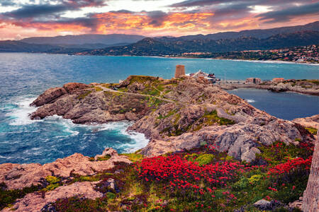 Insula Corsica, Franța