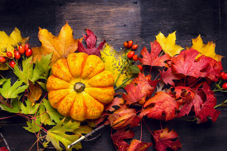 Тиква върху цветни есенни листа