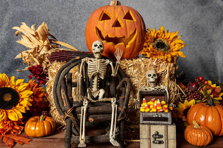 Skeletons, pumpkins, candies