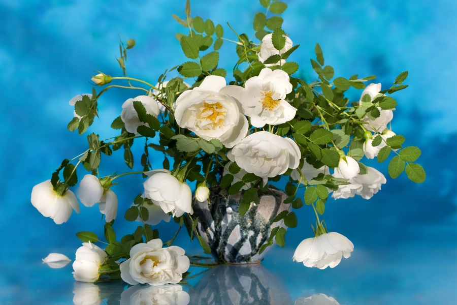 White roses