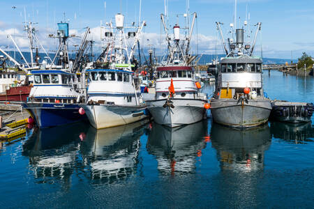 Bateaux dans le port de pêche