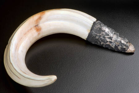 Waffen für die Jagd