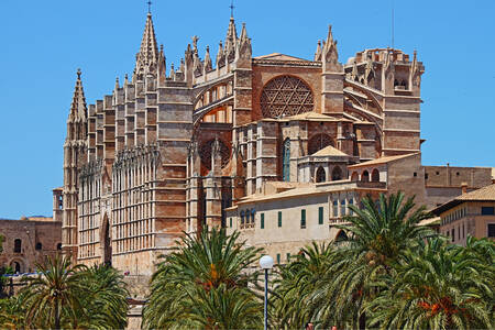 Katedral Santa Maria, Palma