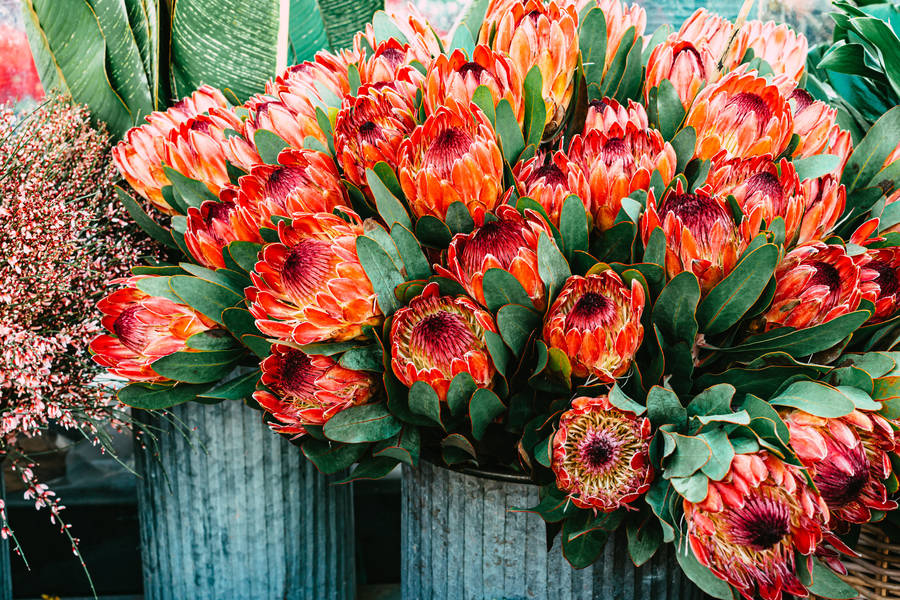 Radiomar en Vivo 106.3 MHz FM, Lima, Perú Online Radio Box