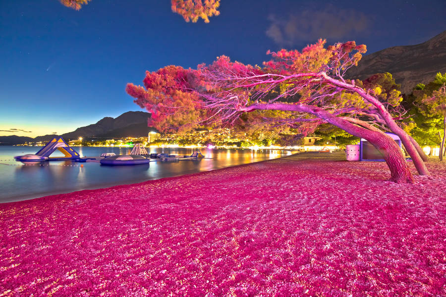 AM 530 Somos Radio en Vivo Buenos Aires, Argentina Online Radio Box