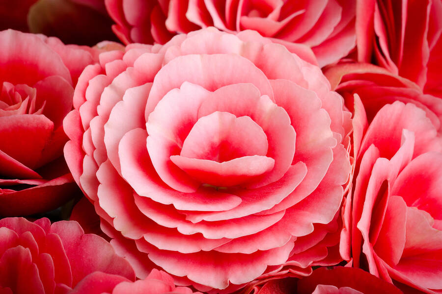 KLND 89.5 FM Listen Live Little Eagle, United States Online Radio Box