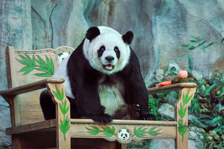 Panda egy széken