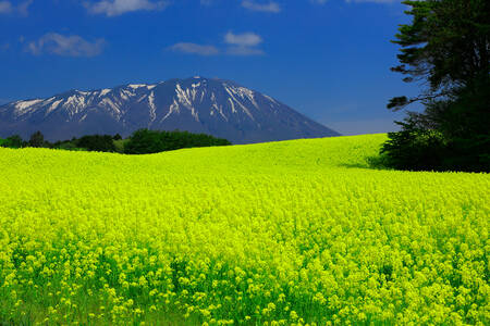 Natur i Iwate prefektur