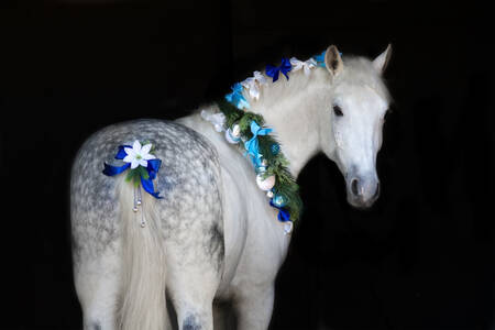 Un cavallo bianco con una ghirlanda