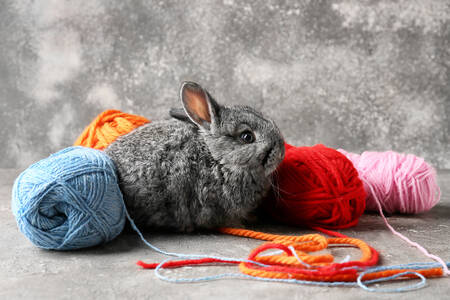 Rabbit with colorful yarn