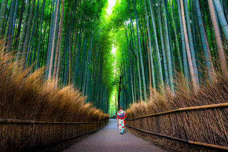 Bamboebos in Arashiyama