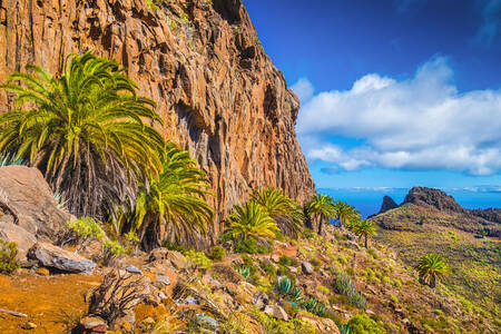 Rochas nas Ilhas Canárias