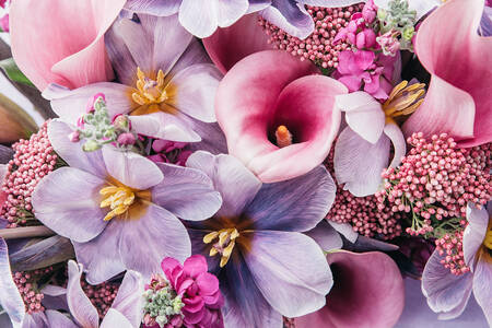 Tulpen und Callas