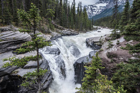 Cachoeira nas florestas do Canadá